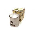 Piston Kit for WTP 60